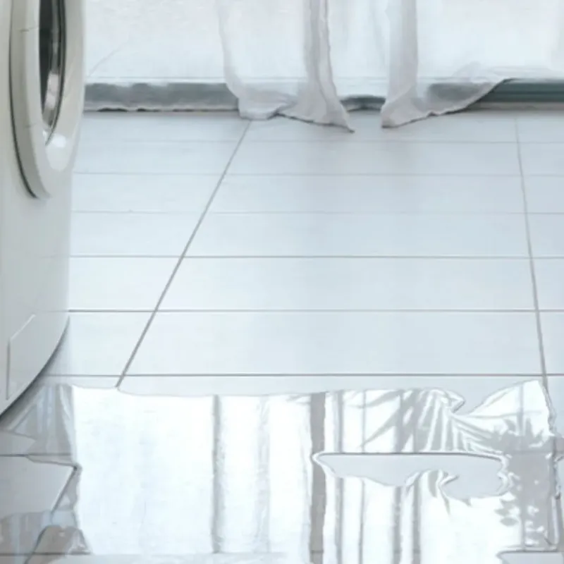 Appliance Leak Cleanup in Gower, MO