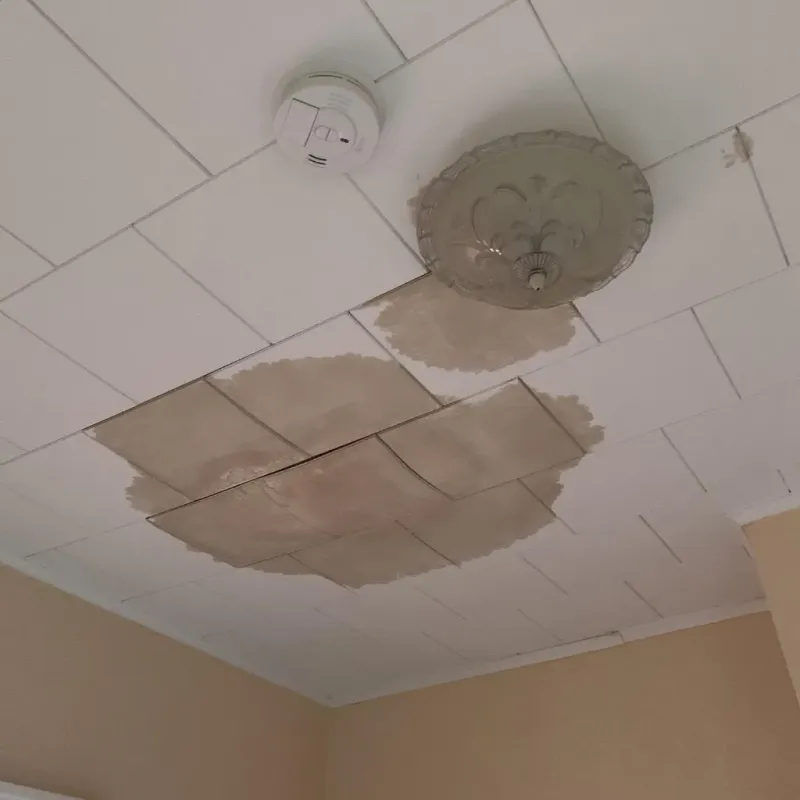 Ceiling Water Damage Repair in Gower, MO