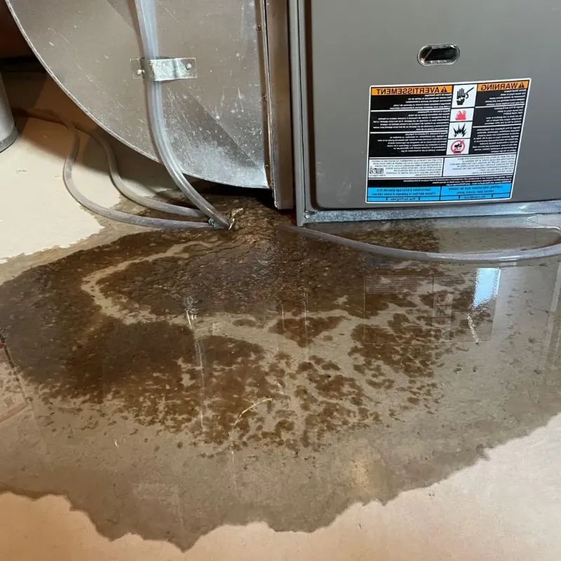 Pipe Burst and Leak Restoration in Gower, MO